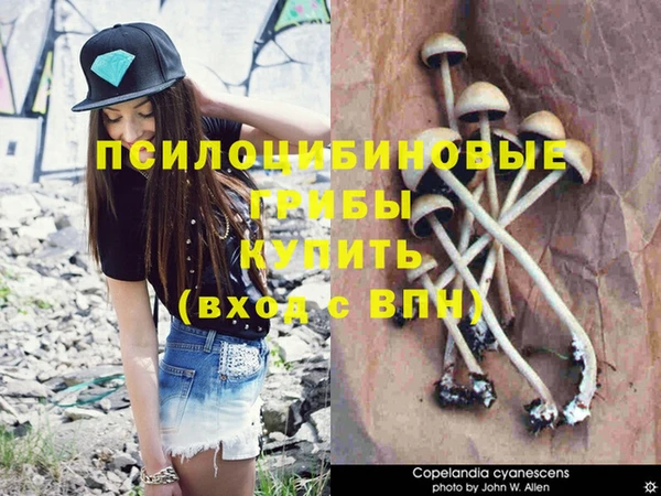 прущая мука Тайга
