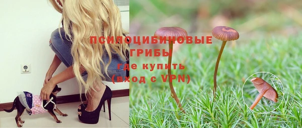 скорость Сясьстрой