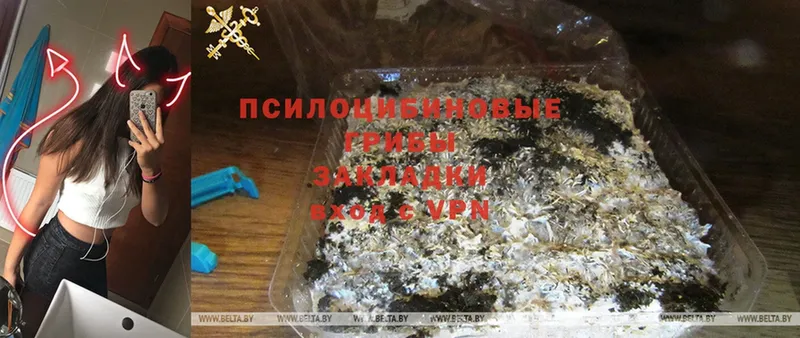 даркнет сайт  mega маркетплейс  Галлюциногенные грибы прущие грибы  Александровск 