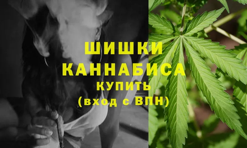 Бошки марихуана AK-47  дарнет шоп  Александровск 